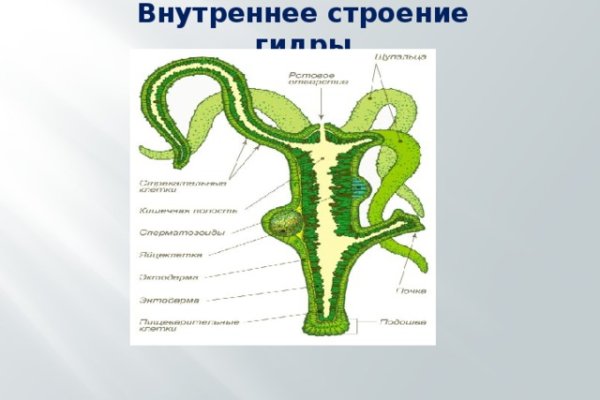 Блэкспрут ссылка тор blacksprut2web in