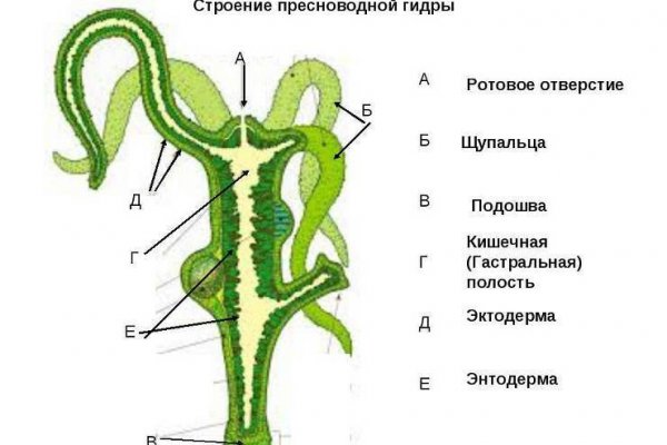 Блэкспрут ссылка blacksprut adress com